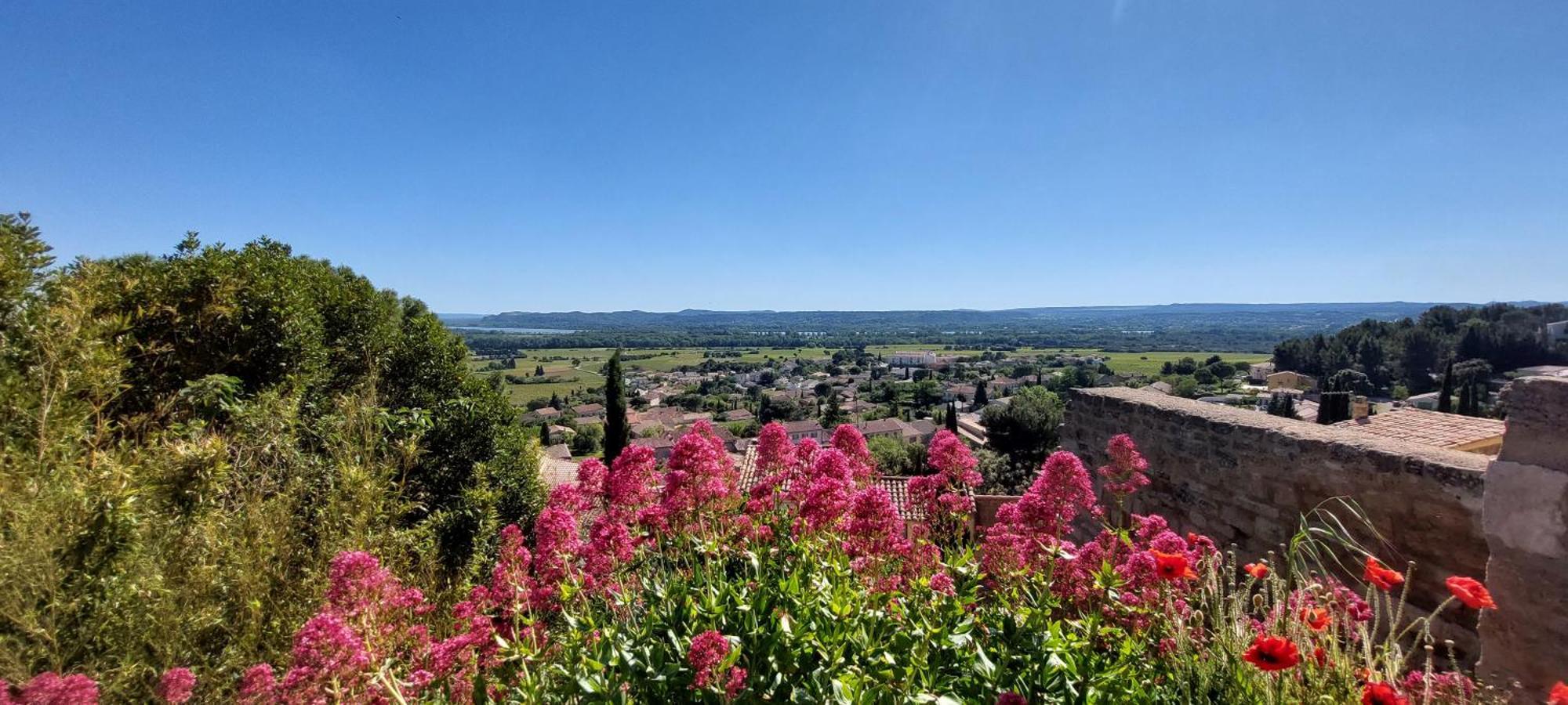 Gite De L'Olivier, Classe, Climatise, Jardin Avec Parking Gratuit Devant Le Logement Et A 5 Minutes Du Centre-Ville A Pied LʼIsle-sur-la-Sorgue Exteriér fotografie