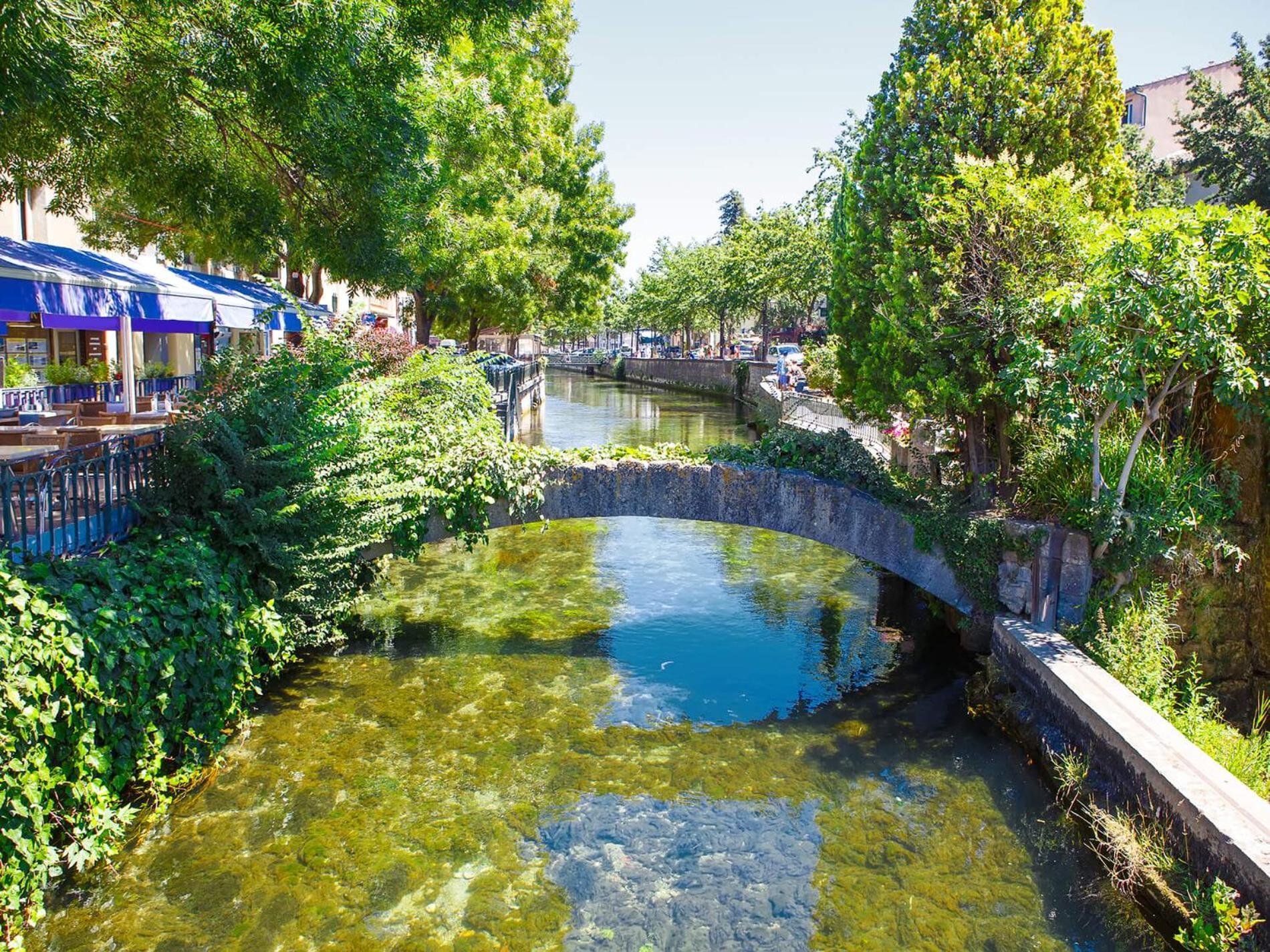 Gite De L'Olivier, Classe, Climatise, Jardin Avec Parking Gratuit Devant Le Logement Et A 5 Minutes Du Centre-Ville A Pied LʼIsle-sur-la-Sorgue Exteriér fotografie